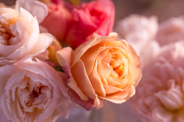 Ramo de rosas inglesas con escarcha en los pétalos de la vieja mesa de madera, estilo rústico. Copie el espacio. Cumpleaños, madre, día de San Valentín, mujeres, concepto de día de la boda.