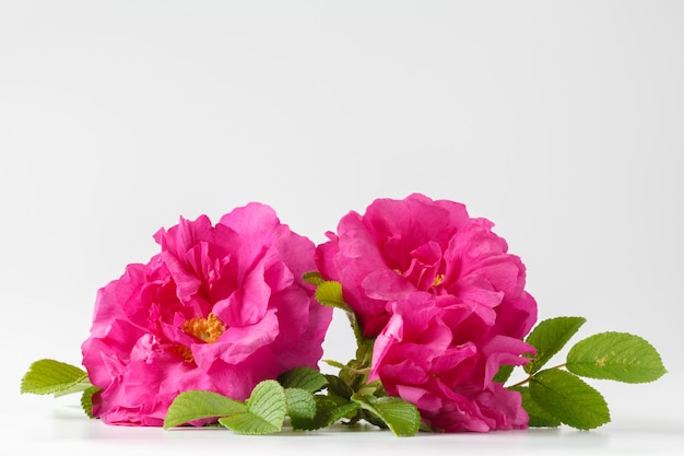 Ramo de rosas en la mesa de madera