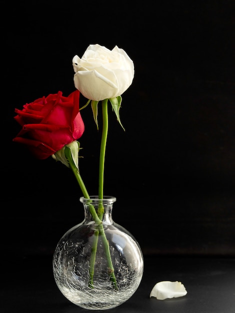 Ramo de rosas rojas y blancas en florero de vidrio sobre fondo negro