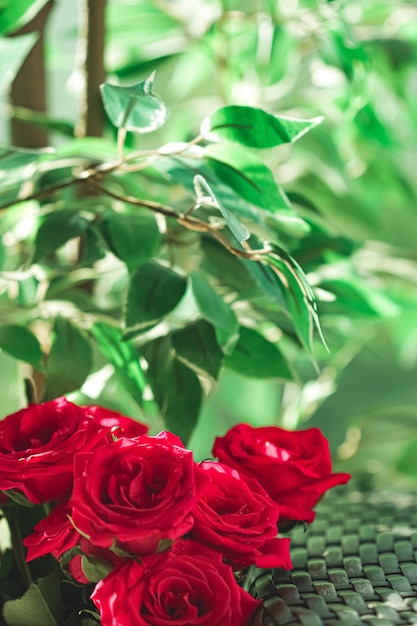 Ramo de rosas rojas como regalo floral de vacaciones hermosas flores frescas del jardín como decoración del hogar