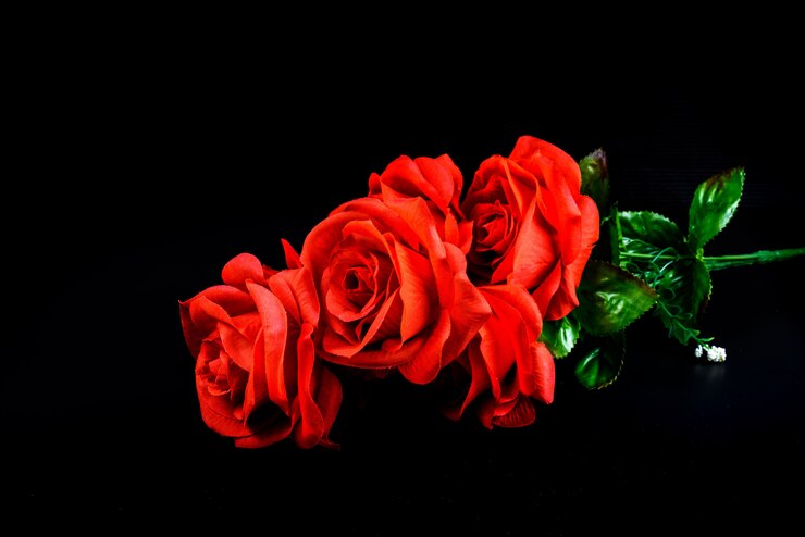 Ramo de rosas rojas sobre fondo negro
