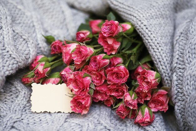 Ramo de rosas rojas sobre un suéter textil