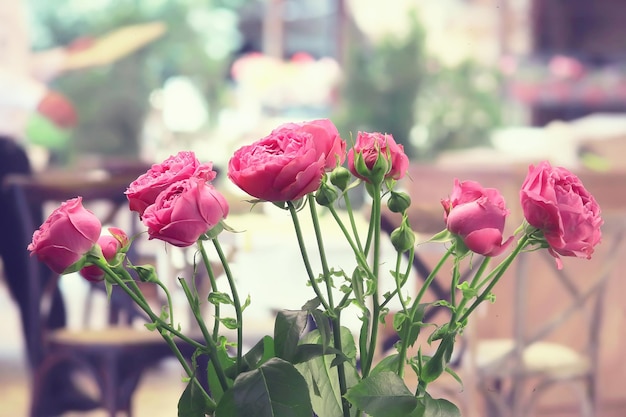 ramo de rosas rosadas antecedentes / concepto de vacaciones, hermosas flores rosadas antecedentes