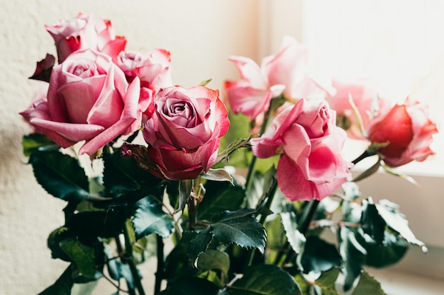 Ramo de rosas rosadas junto a la ventana