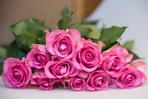 Ramo de rosas rosadas sobre fondo blanco fondo de flores concepto de boda y cumpleaños del día de la madre