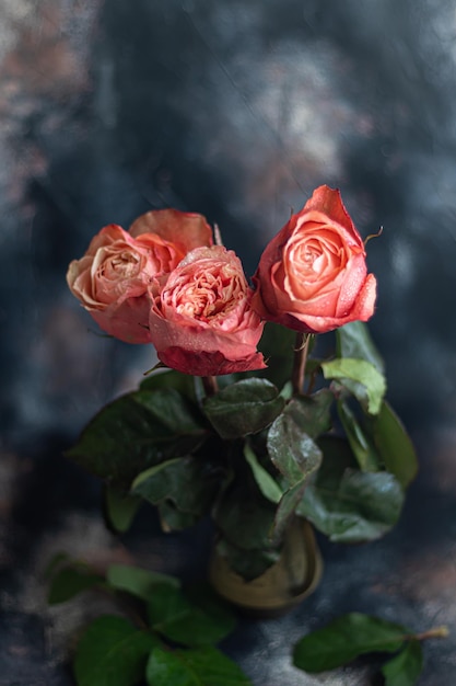 Ramo de rosas para las vacaciones Día de la mujer Día de San Valentín Día del nombre Sobre un fondo oscuro