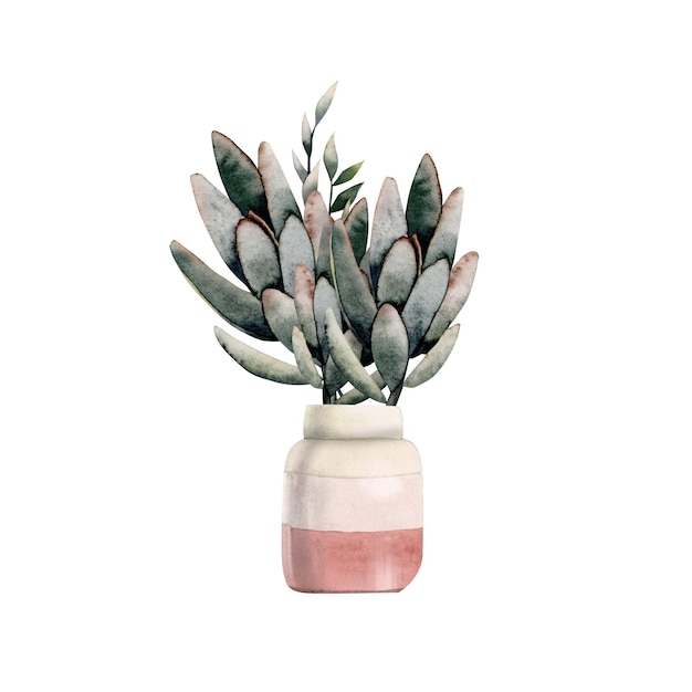 Ramo de suculentas verdes acuarela en jarrón rosa para plantas caseras para interiores diseños de floristería