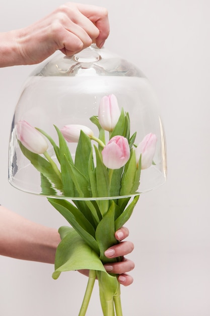 Ramo de tiernos tulipanes rosados bajo maceta de vidrio, cierre y espacio libre. Protección del medio ambiente y concepto de mantenimiento de flores raras.