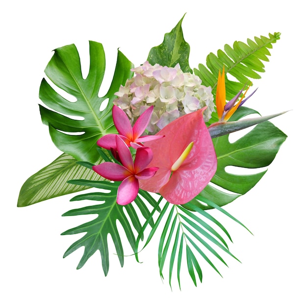 Ramo tropical con hojas de monstera en un arreglo tropical aislado sobre fondo blanco