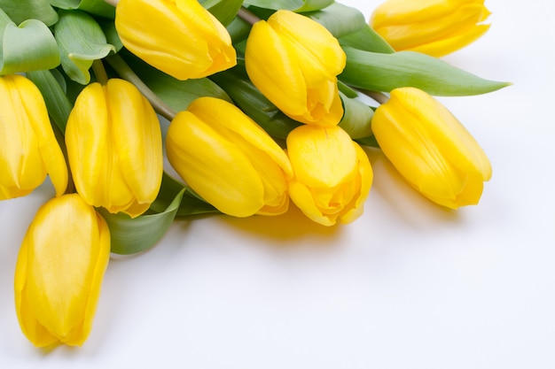 El ramo de tulipán amarillo hermoso florece en el fondo blanco. Tarjeta de felicitación. Copia espacio