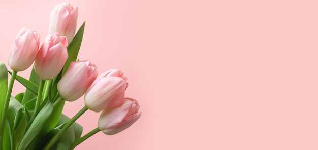 Ramo de tulipán rosa sobre fondo rosa como banner, día de la madre.