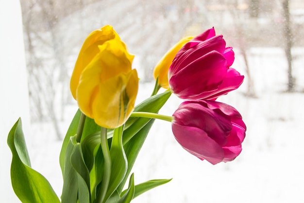 Un ramo de tulipanes amarillos y rosados en un florero en el alféizar de la ventana.