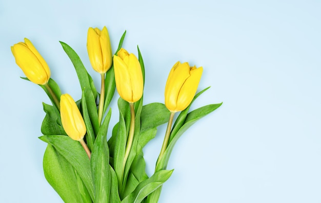 Ramo de tulipanes amarillos sobre un fondo azul claro