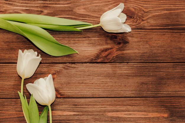 Ramo de tulipanes blancos en un espacio de fondo de madera para texto