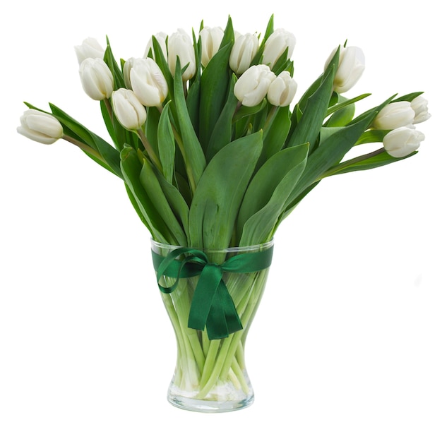 Ramo de tulipanes blancos en florero de vidrio aislado sobre fondo blanco.