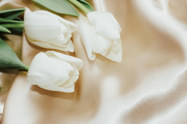 Ramo de tulipanes blancos sobre fondo satinado nude dorado seda