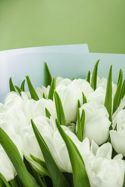 Un ramo de tulipanes blancos sobre un fondo verde pastel con flores en flor concepto festivo