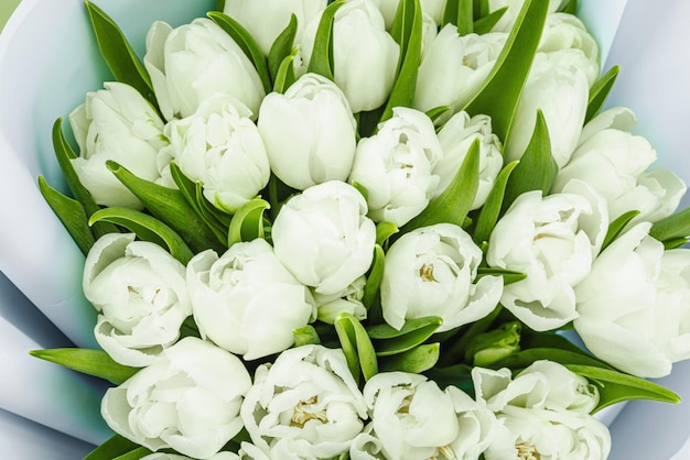 Un ramo de tulipanes blancos sobre un fondo verde pastel con flores en flor concepto festivo