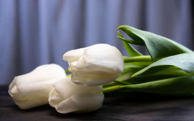 Ramo de tulipanes blancos sobre una mesa redonda