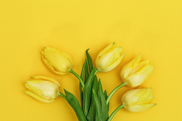 Ramo de tulipanes de flores amarillas en un pequeño jarrón de cerámica sobre fondo amarillo Flores naturales de primavera