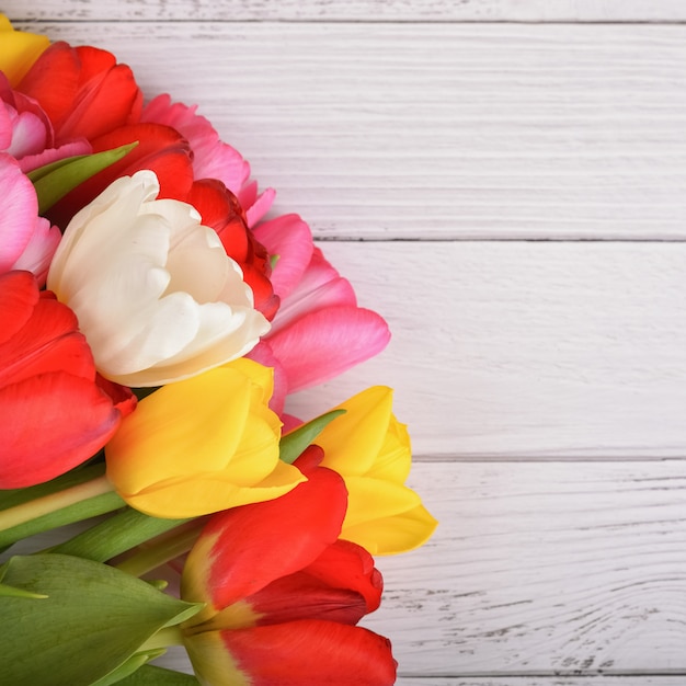 Foto un ramo de tulipanes frescos, brillantes y multicolores sobre tablas de madera blanca.