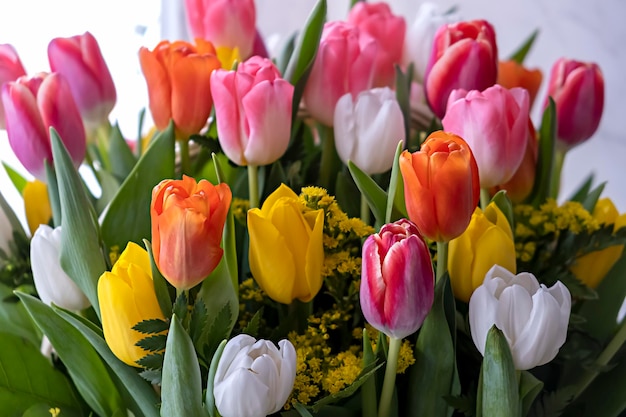 Ramo de tulipanes multicolores frescos en cesta Regalo para el Día de San Valentín o el Día de la Mujer fondo natural