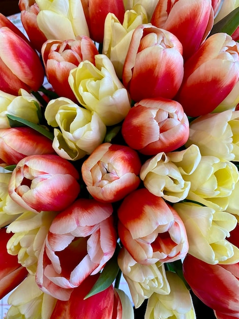 Foto un ramo de tulipanes con la palabra tulipanes