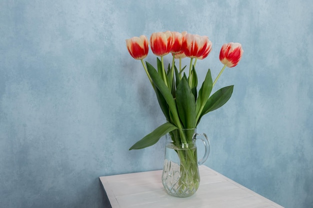 un ramo de tulipanes rojos y blancos en una jarra de vidrio sobre un fondo azul sobre una mesa blanca