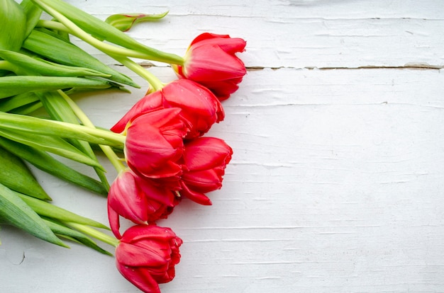 Ramo de tulipanes rojos se encuentran sobre un fondo blanco de madera