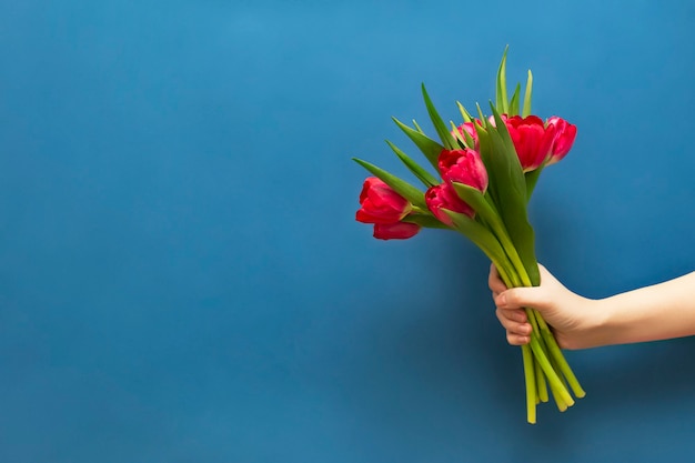 Ramo de tulipanes rojos en mano sobre fondo azul.