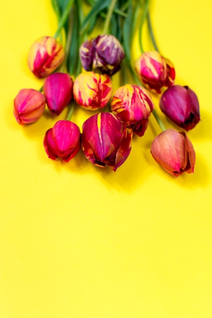 Ramo de tulipanes rojos y rosas sobre un fondo amarillo Concepto de celebración de cumpleaños del Día de la Madre Día de San Valentín Hola Primavera Copia espacio vista superior tarjeta de felicitación