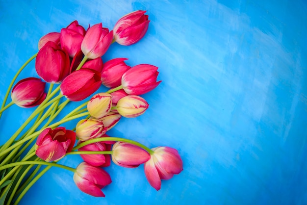 Ramo de tulipanes rojos y rosas sobre un fondo azul, copie el espacio, para el diseño de tarjetas de felicitación