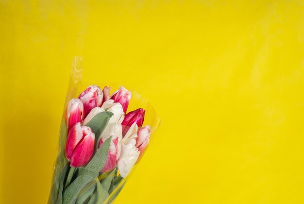 Ramo de tulipanes rojos sobre un fondo amarillo