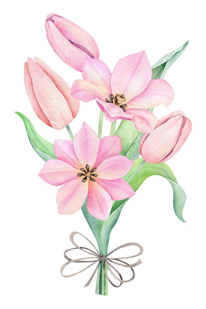 Ramo de tulipanes rosa acuarela Spting flores aisladas sobre fondo blanco