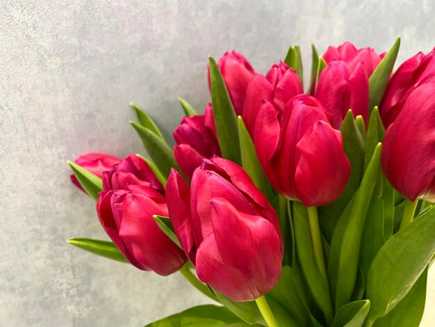 ramo de tulipanes rosados brillantes en un jarrón en un primer plano de fondo gris