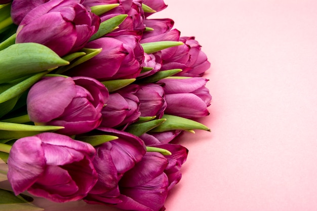 Ramo de tulipanes rosados / fondo del día de Pascua. Ramo de tulipanes sobre un fondo rosa, banner web