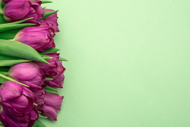 Ramo de tulipanes rosados / fondo del día de Pascua. Ramo de tulipanes sobre un fondo verde, banner web