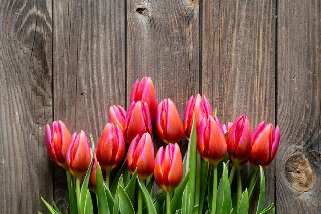 Ramo de tulipanes rosados frescos en una vista superior de fondo de madera