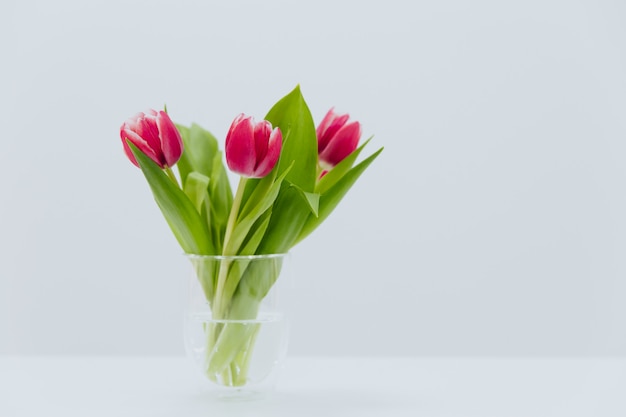 Ramo de tulipanes rosados en un jarrón de cristal transparente sobre un fondo blanco.