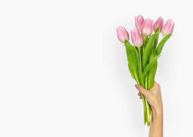 Ramo de tulipanes rosas en una mano femenina sobre un fondo blanco Día de San Valentín Espacio de copia