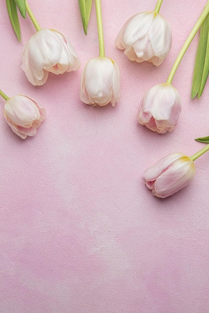 Ramo de tulipanes rosas sobre fondo rosa
