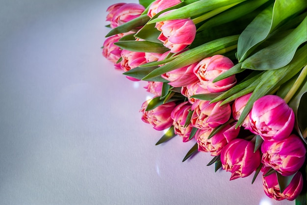 Ramo de tulipanes sobre fondo pastel