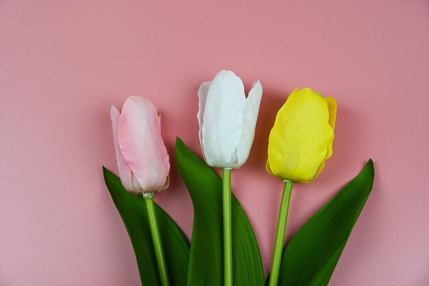 Ramo de tulipanes sobre un fondo rosa