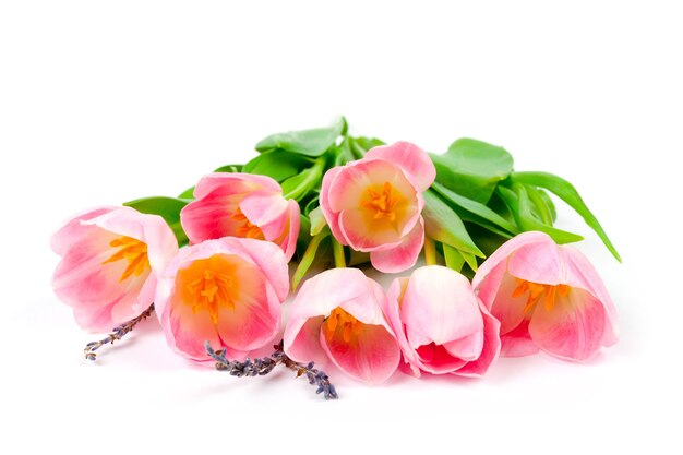 Ramo de tulipanes sobre una superficie blanca para publicidad
