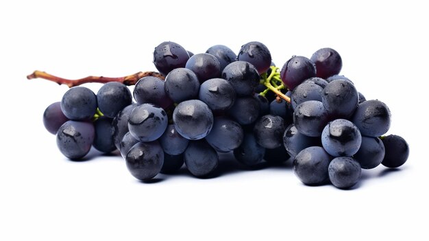 Ramo de uvas azules secas aisladas sobre un fondo blanco