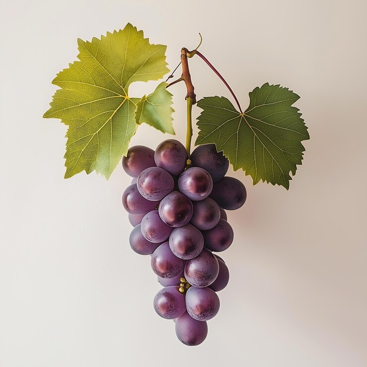 un ramo de uvas con hojas
