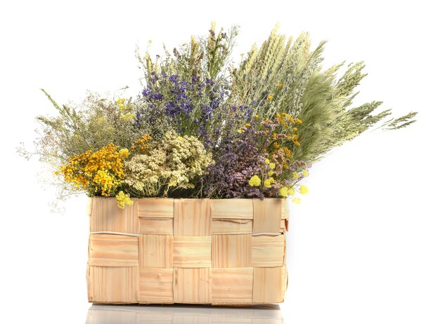 Ramo de varias flores secas en una caja de madera sobre un fondo blanco. Para decoración.