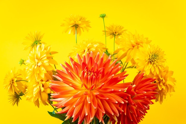 Ramo de verano flores amarillas y rojas sobre fondo brillante Crisantemos y dalias de cerca