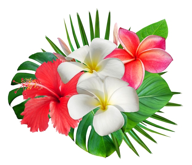 Ramo de verano tropical con flores de frangipani y flores de hibisco aisladas sobre un fondo blanco