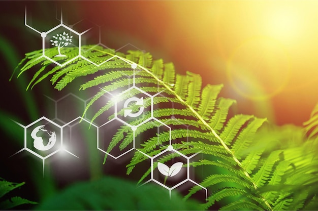 Ramo verde de uma caxumba com uma estrutura bioquímica